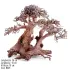 Bonsai albero per acquario Wood M601