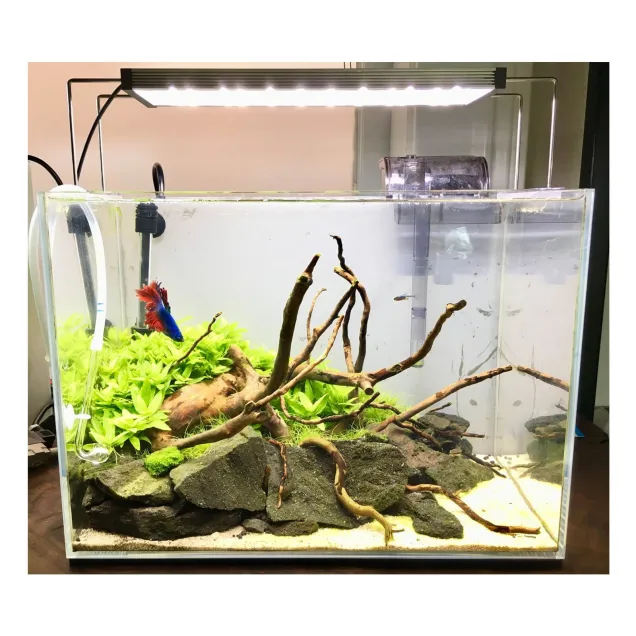 Twinstar Light 450CA plafoniera a LED regolabile per acquario