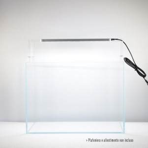 Genesi Acquari Tank 65 litri extrachiaro 60x30