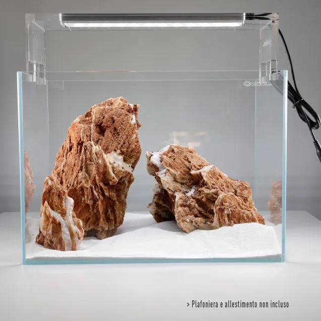 Genesi Acquari Tank 65 litri extrachiaro 60x30