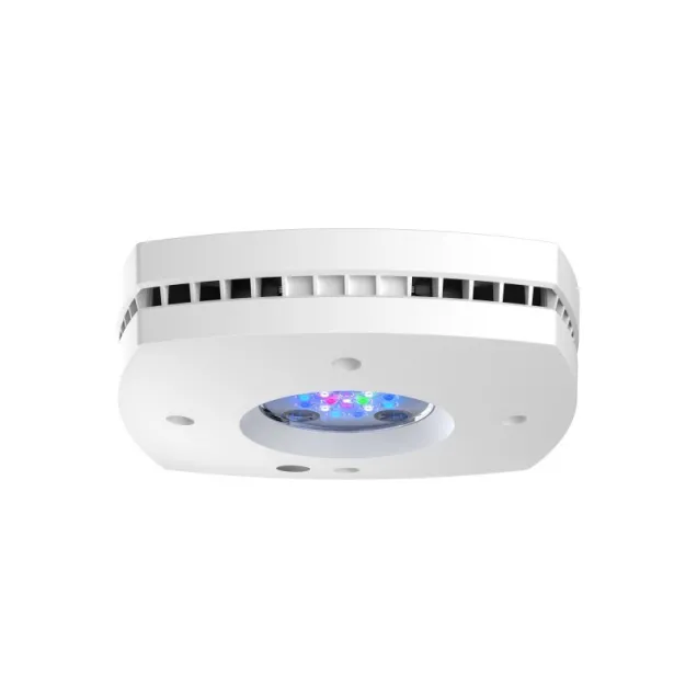 Aquaillumination Prime HD 16 plafoniera a LED WI-FI