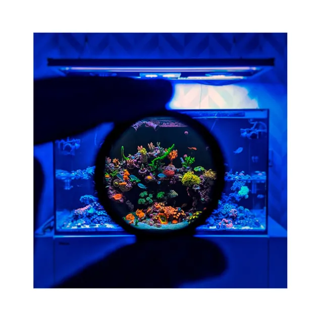 D-D Lente per fotografare coralli Coral Color Lens