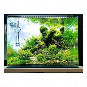 Dennerle Nano scaper tank basic acquario da 70 litri
