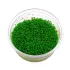 Hemianthus callitrichoides Cuba in vitro