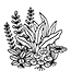 imagealt