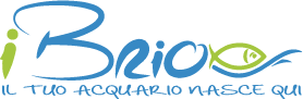 iBRIO