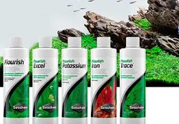 Seachem protocollo fertilizzazione